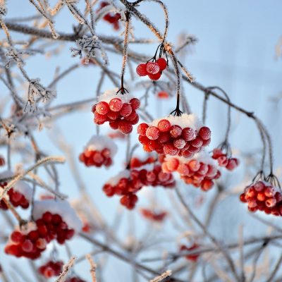 固定費と変動費の違いを教えてください