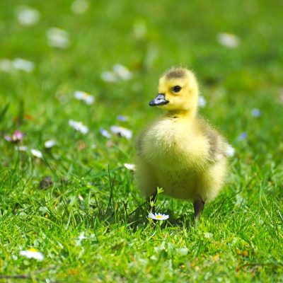 起業するときの準備は何が必要でしょうか