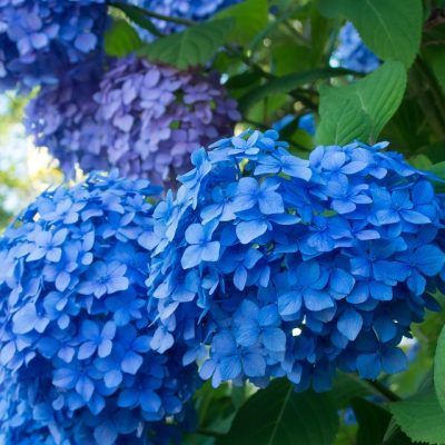 女性が起業する上で成功しやすいビジネスモデルは?