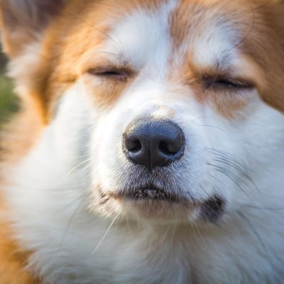 起業するときに相談するのは誰?