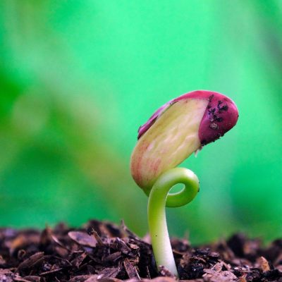 起業をするときに重要なことはなんでしょうか