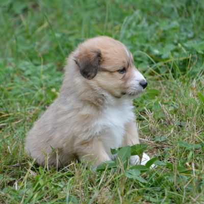 今春、起業する方へ