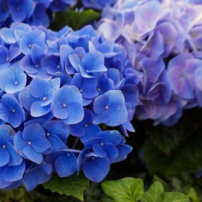 バーチャルオフィスってなに?