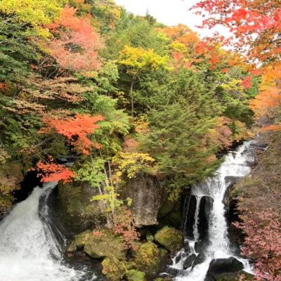 【あなたの夢が叶います。起業のススメ】　栃木県宇都宮市の「レンタルオフィス・シェアオフィス・コワーキング　ＬEAP8」からのご提案です。