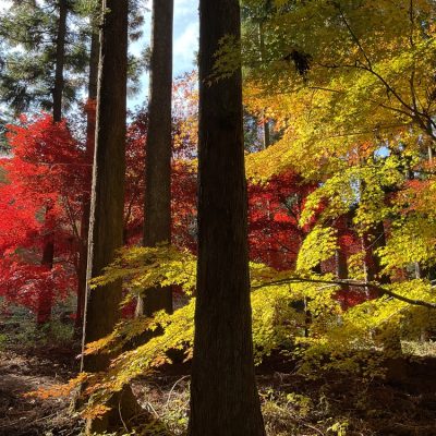 レンタルオフィスLEAP8は、デスク・イス・水道光熱費込みで、契約後すぐに仕事に取り掛かれます