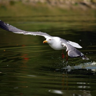 宇都宮市で起業するなら、LEAP8がおすすめです