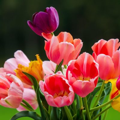 栃木県宇都宮市のレンタルオフィス LEAP8 は、新年度を迎える企業様・起業家様に最適なビジネス拠点です。